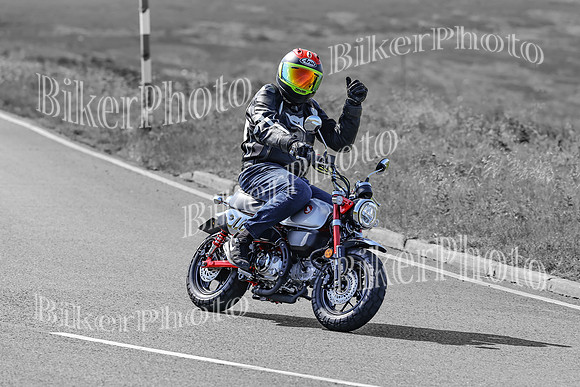 BikerPhoto (1276 of 7008)