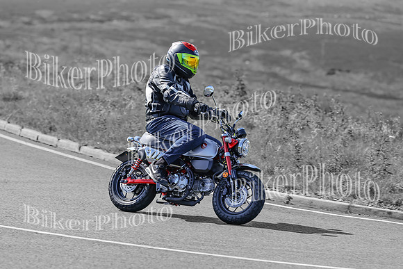 BikerPhoto (1277 of 7008)