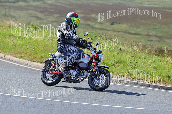 BikerPhoto (1278 of 7008)