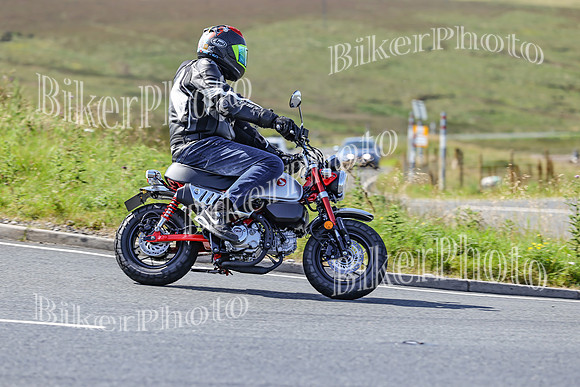 BikerPhoto (1280 of 7008)