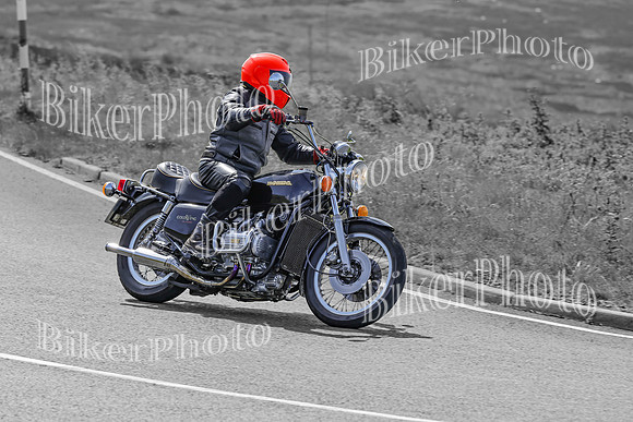 BikerPhoto (2980 of 7008)