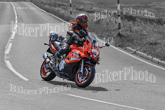 BikerPhoto (2990 of 7008)