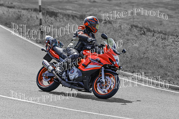 BikerPhoto (2992 of 7008)