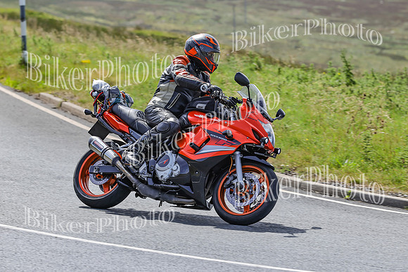 BikerPhoto (2993 of 7008)