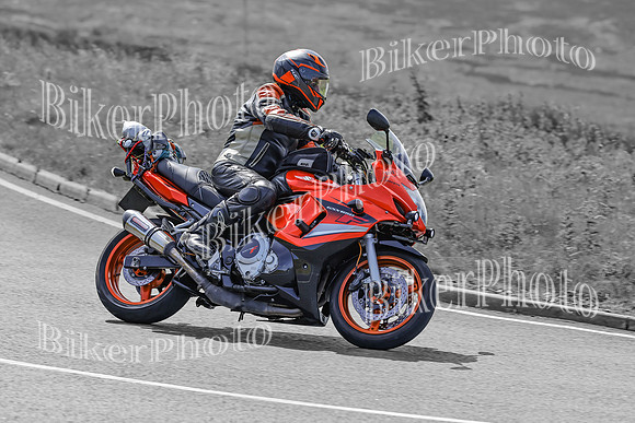 BikerPhoto (2994 of 7008)