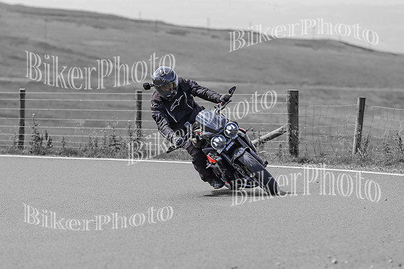 BikerPhoto (3031 of 7008)