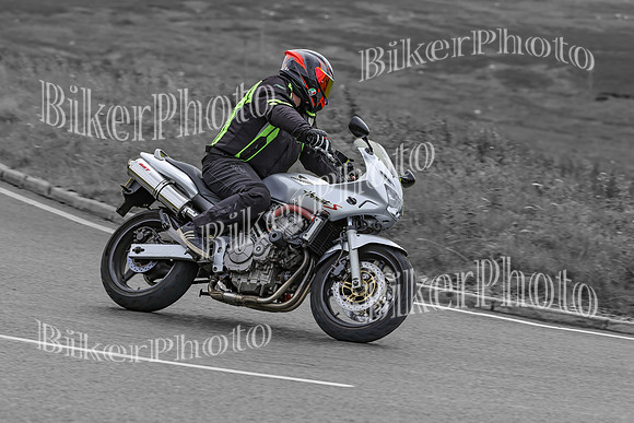BikerPhoto (4538 of 7008)