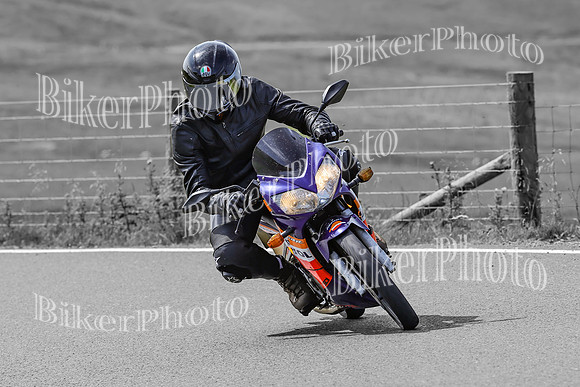 BikerPhoto (3062 of 7008)
