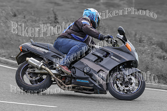 BikerPhoto (4553 of 7008)