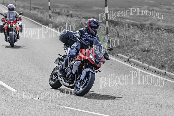 BikerPhoto (3090 of 7008)