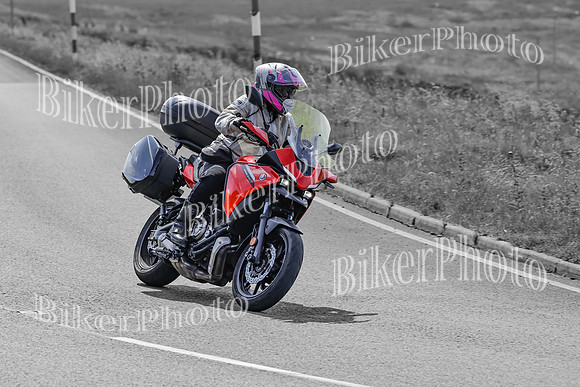 BikerPhoto (3094 of 7008)