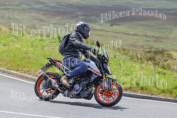 BikerPhoto (3111 of 7008)