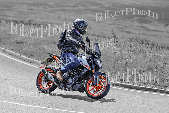BikerPhoto (3110 of 7008)