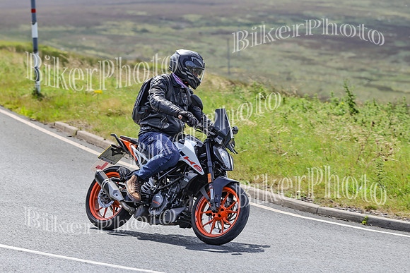 BikerPhoto (3109 of 7008)