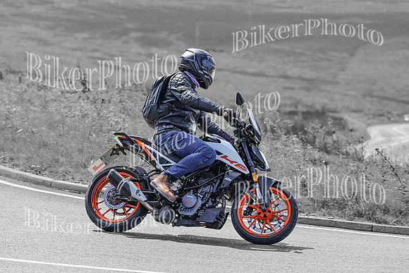 BikerPhoto (3112 of 7008)