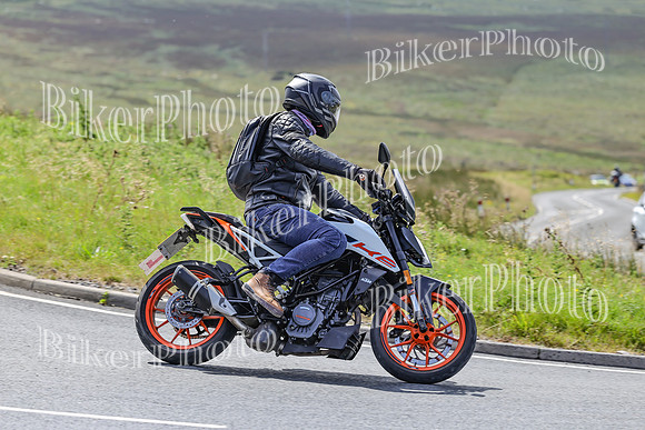 BikerPhoto (3113 of 7008)