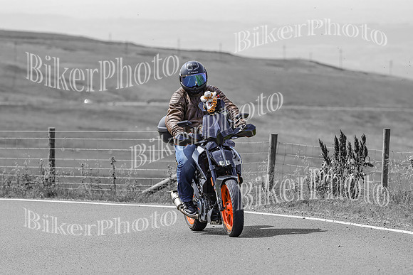 BikerPhoto (3124 of 7008)