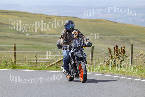 BikerPhoto (3125 of 7008)
