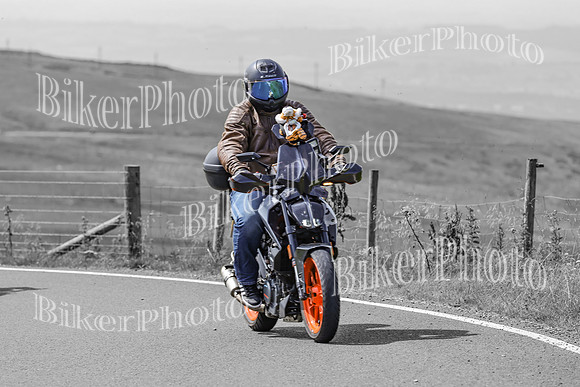 BikerPhoto (3126 of 7008)