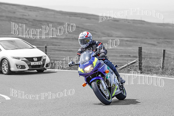 BikerPhoto (3130 of 7008)