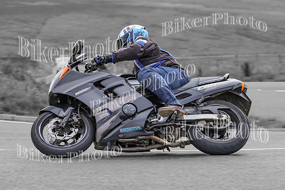 BikerPhoto (4605 of 7008)