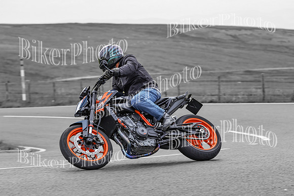 BikerPhoto (4613 of 7008)