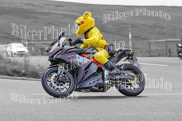 BikerPhoto (3760 of 7008)