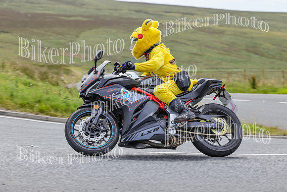 BikerPhoto (3761 of 7008)