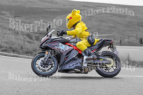 BikerPhoto (3762 of 7008)