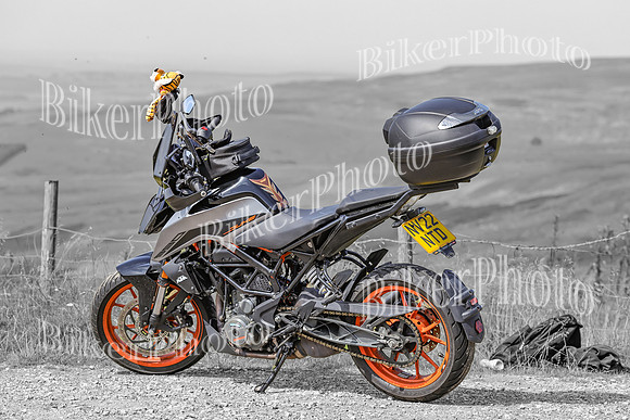 BikerPhoto (3171 of 7008)