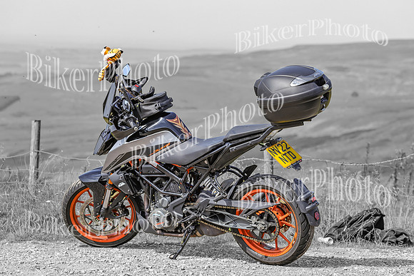 BikerPhoto (3172 of 7008)