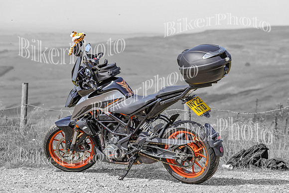 BikerPhoto (3173 of 7008)