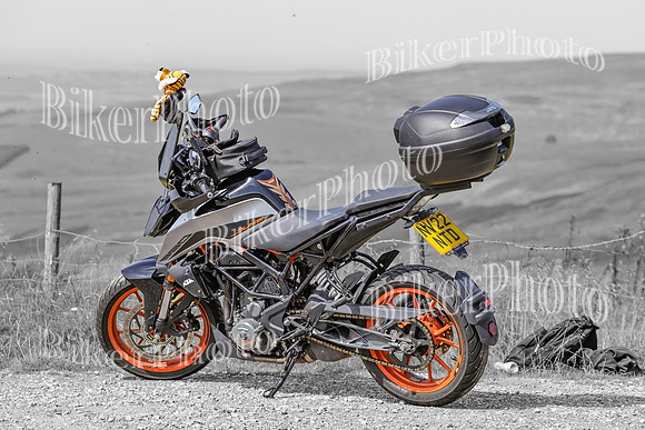 BikerPhoto (3174 of 7008)