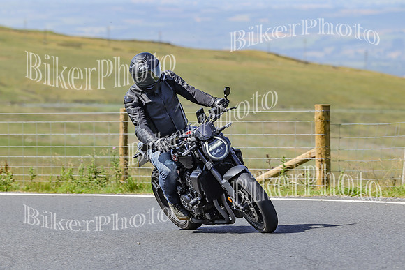 BikerPhoto (1512 of 7008)