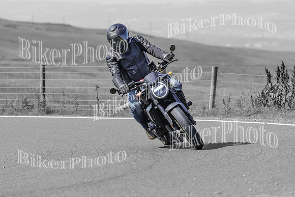 BikerPhoto (1513 of 7008)