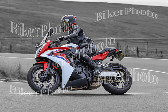 BikerPhoto (3802 of 7008)