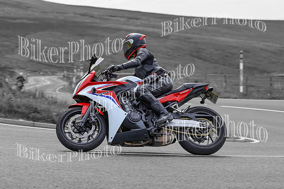 BikerPhoto (3804 of 7008)