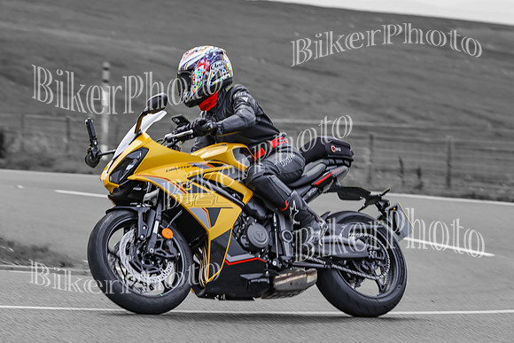 BikerPhoto (3810 of 7008)