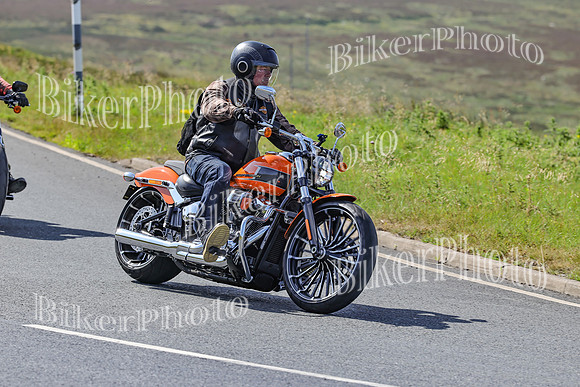 BikerPhoto (1550 of 7008)