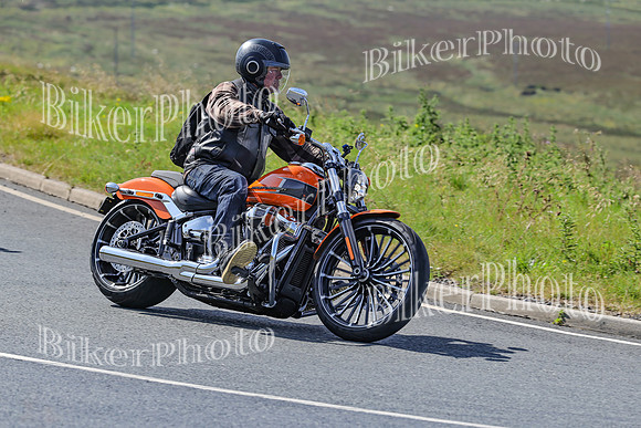 BikerPhoto (1552 of 7008)