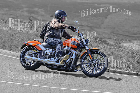 BikerPhoto (1554 of 7008)