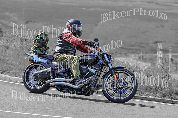 BikerPhoto (1558 of 7008)
