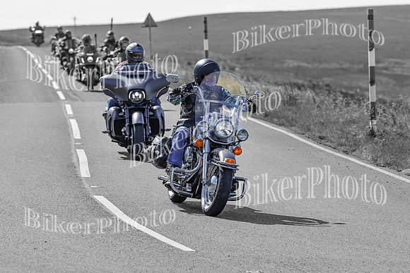 BikerPhoto (1560 of 7008)
