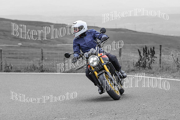 BikerPhoto (4724 of 7008)