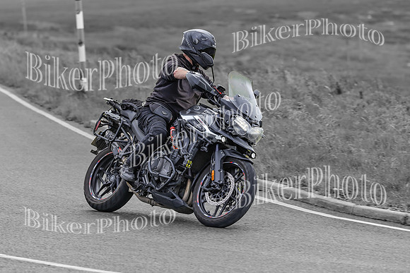 BikerPhoto (3909 of 7008)