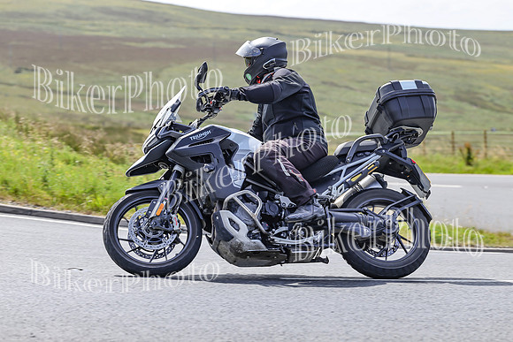 BikerPhoto (3291 of 7008)