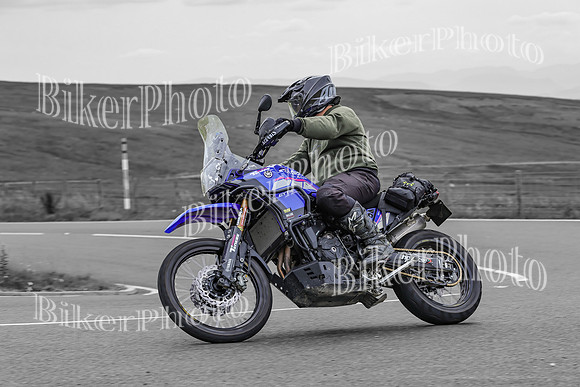 BikerPhoto (4763 of 7008)