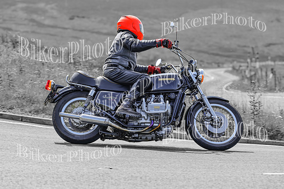 BikerPhoto (3295 of 7008)