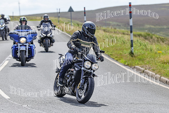BikerPhoto (3339 of 7008)