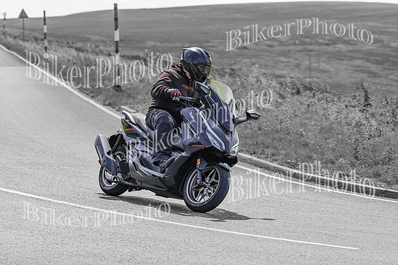 BikerPhoto (3361 of 7008)